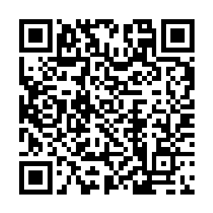 冷血子没想到华夏九会以这种方式对抗他的血海神通二维码生成