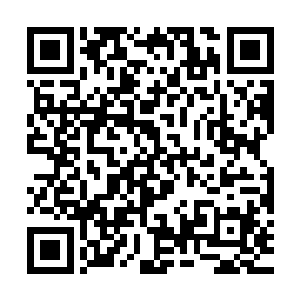 准备品尝一下东北口味的烧烤……棒子国的地理位置偏近于东北二维码生成