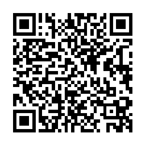 准备扔了手中掩护的提包欺身而上搞定刚打开车门的司机时候二维码生成