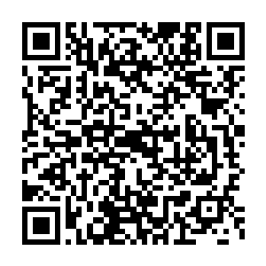 准确无比的指在了那个孙子轩用透视之术都看不清内容的细小区域上二维码生成