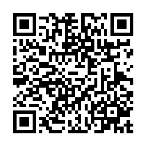 准确的说那帮家伙都是比自己懈届的195厂子弟校的学弟们二维码生成