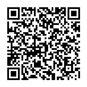 凌云当然不会指望自己输了也让宋正阳这个只有一面之缘的见证人给他买单二维码生成