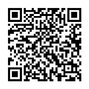 凌元贞在潜移默化中也把属于炼气士的悬浮术修行技法告诉了我二维码生成