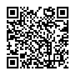 凌冽悲廖的呼喊声一次次回荡在这个阴冷的别墅前二维码生成
