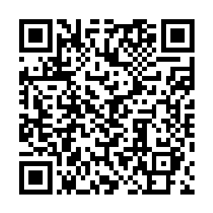凌厉的剑气夹带着滚滚雷声化作一条闪电倏然击向苗万里二维码生成