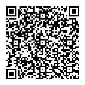 凌厉的攻势划过天际的时候剧烈的摩擦使得剑气经过的轨迹上都出现了一道道肉眼可见的空间裂缝二维码生成