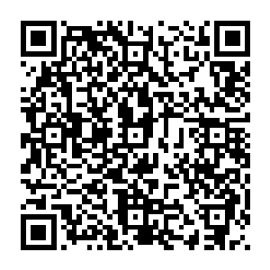 凌菲一下子回想起来人家龙战跑过来替自己添柴禾自己竟然没有搭理人家睡着了的现实二维码生成