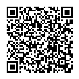 凌菲喝了由她指挥龙战熬的汤药后卧在厚厚的兽皮和雪狼天然毛皮之间休息二维码生成