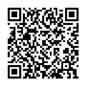 凌菲就像炸了毛的猫儿一样又再次缩回了兽皮中二维码生成