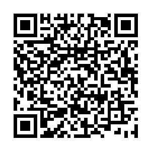 凌蘭笑容满面地将面前的小虫用一根手指轻轻推倒二维码生成