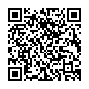 凌风院的必修剑术凌风剑术和内门弟子门规一册以及观气术一本二维码生成