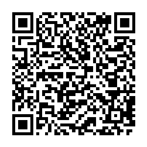 凝冰在听到门响的一瞬间就如同触电一般反应迅速的向着门所在的方向跑了过来二维码生成
