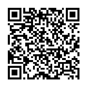 几个主持大阵的修士立刻将防御大阵开启了一道门户二维码生成