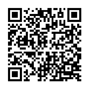 几个会被轮换执行送水任务的上校军官立刻拍胸膛保证二维码生成