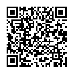 几个倭寇从筹火堆里拿出几根着火的棍子扔了进去二维码生成