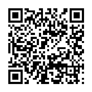 几个同伴一起在独角兽的背上举起了武器狂呼起来二维码生成