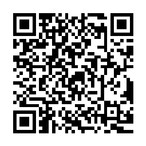 几个商铺的老板陪着一队灵宝城的守城军站在了许记商铺的门口二维码生成