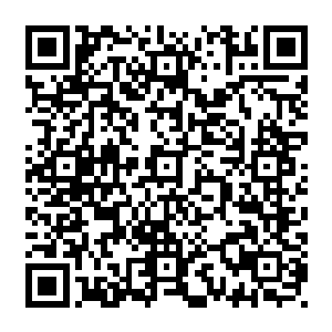 几个差不多有足球场那么大的深深的大坑在几十万人的挥汗如雨的协作中慢慢成形二维码生成