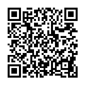 几个老牌家族也是一副看着孩子们玩儿闹的大家长的样子二维码生成