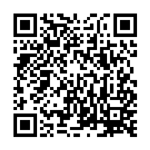 几个脸色青白眼里空洞无神的灵体就从猫爪下面冒了出来二维码生成