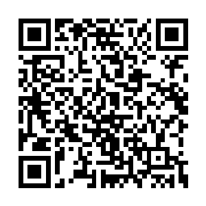 几个长老看着已经完全众人被忽视忘记了的他们二维码生成