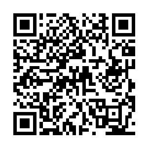 几乎再度重复了此前琼阳仙子舰队经过这里的一幕……二维码生成