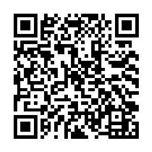 几乎变回他们之前的隐形人……重新消失在人群之中二维码生成