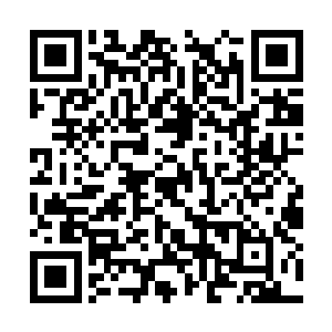 几乎可以说是动用了自己世界之力以外的最强底牌二维码生成