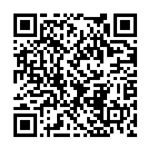 几乎已经跟黎王撕破脸的老妖妇绝对不敢如此对她二维码生成