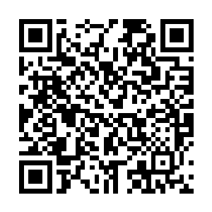 几乎所有机器人都尽量不着痕迹的在他脸上扫描了一遍二维码生成