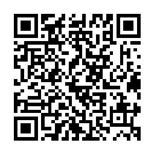 几乎是琳达和张铁老妈她们刚刚在那房车销售商店的门口下车二维码生成