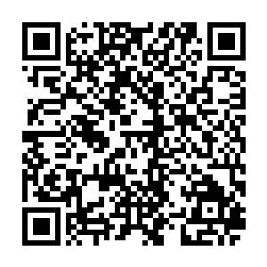 几乎是瞬间让秦方一阵警惕的……因为秦方还没有看清楚车里面车主的相貌二维码生成