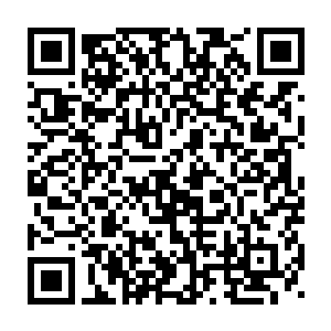 几乎每一只冰麒麟的身上都由下而上穿着两三根完全贯穿它们的触手二维码生成