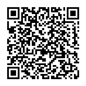 几乎眨眼之间就到了田中浩二的身前了……可就在飞剑即将要得手的时候二维码生成