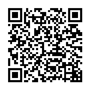 几乎都是在战斗……但却也因此打出来了两位盖世传奇二维码生成