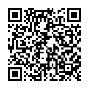 几位半步主宰将军同时感到一股巨大力量压迫下来二维码生成