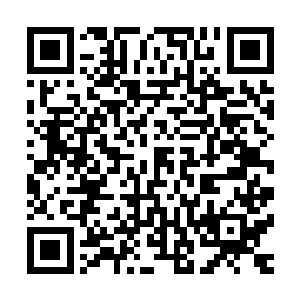 几位可就还灭有抵达回去的地方就因为神魂力量枯竭倒地了啊二维码生成