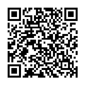 几位年轻人便将这控尸家族的两位男子给押了下去二维码生成