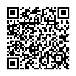 几位族老可以带回去和林老太君商量商量……有什么要求二维码生成