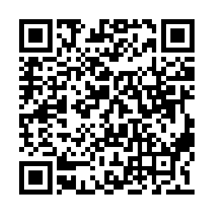 几位殿主一时语塞不知道该如何回答秦宇这问题二维码生成