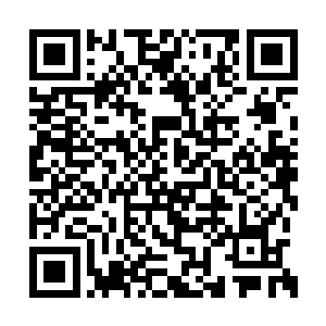 几名九华宫成员立刻从怀里取出一枚白色的冰石二维码生成