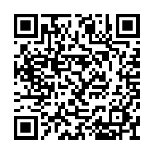 几天之内墨景黎任琦宁等人都纷纷上门去拜会了二维码生成