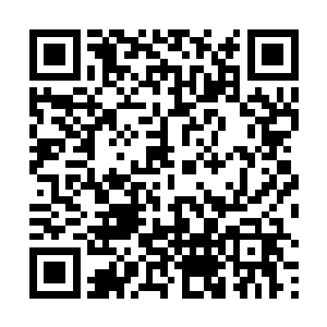 几天之后也许他们就会展示出一个堆满了物资的中转站二维码生成