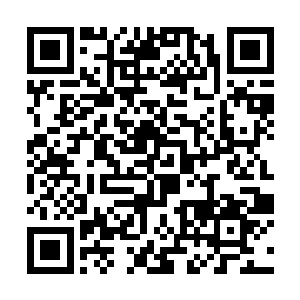 几天前剧组的工作人员曾经爆发过一次大规模的罢工二维码生成