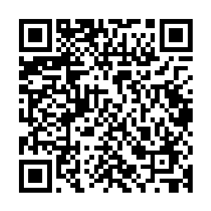 几架f44战斗机轻易的就用机载的机枪打碎了皇家陵园上方的屏障二维码生成