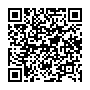 几百头单凭他的袖箭和小狐狸的小不点肯定灭不完二维码生成