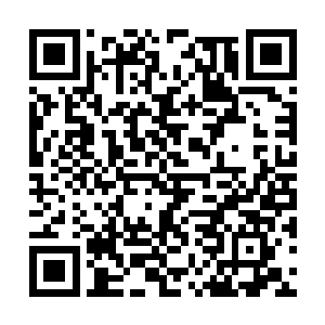 凡事都会跟谭拓或者安子柯等有经验的官员商议了二维码生成