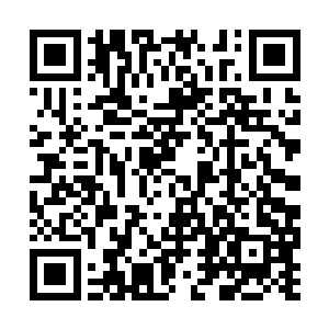 凡是达到半步神王和神王级别的妖族强者单膝跪地二维码生成