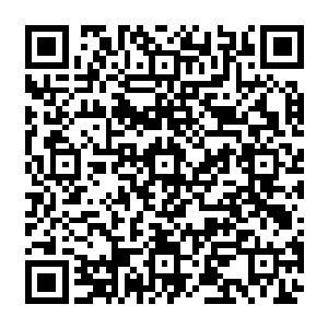 凤凰的意识还是他的意识灵魂也还是那个灵魂不像一万和天氏那样会被新的意识取代二维码生成