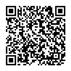 凤凰蛋是那只上等大帝的凤凰涅磐所化死亡对于凤凰来说是不存在的事每次二维码生成
